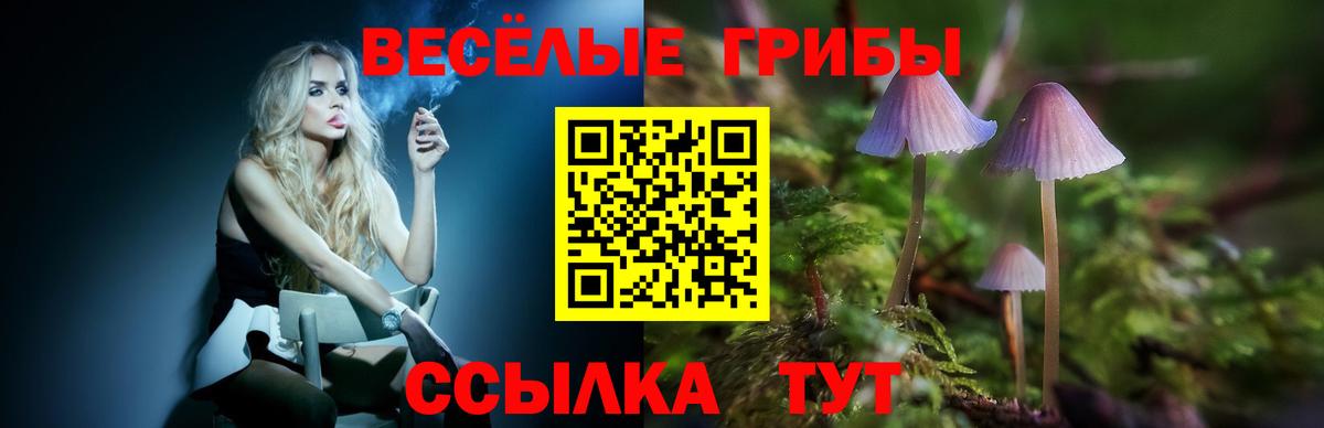 Псилоцибиновые грибы прущие грибы Невинномысск